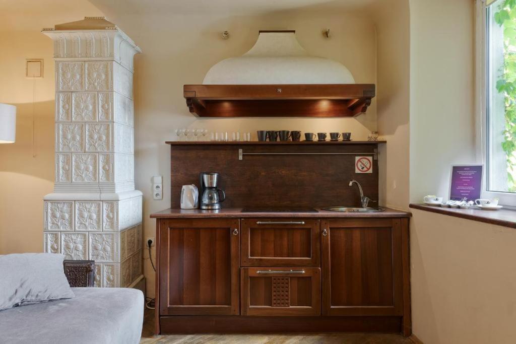 Deluxe One-Bedroom Apartment